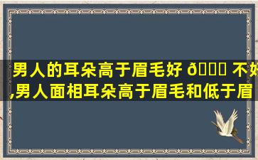 男人的耳朵高于眉毛好 🐝 不好,男人面相耳朵高于眉毛和低于眉毛